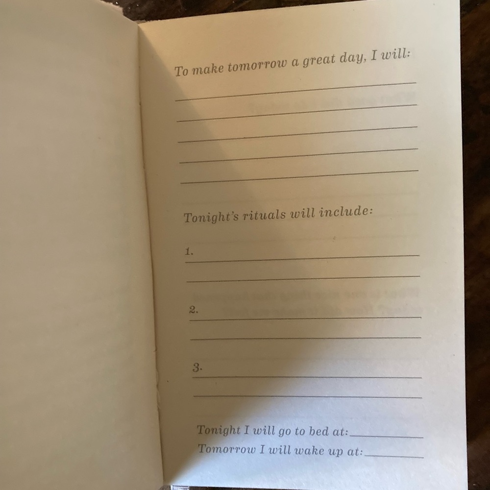 Nighttime Rituals journal in pink velvet New - Picture 3 of 6
